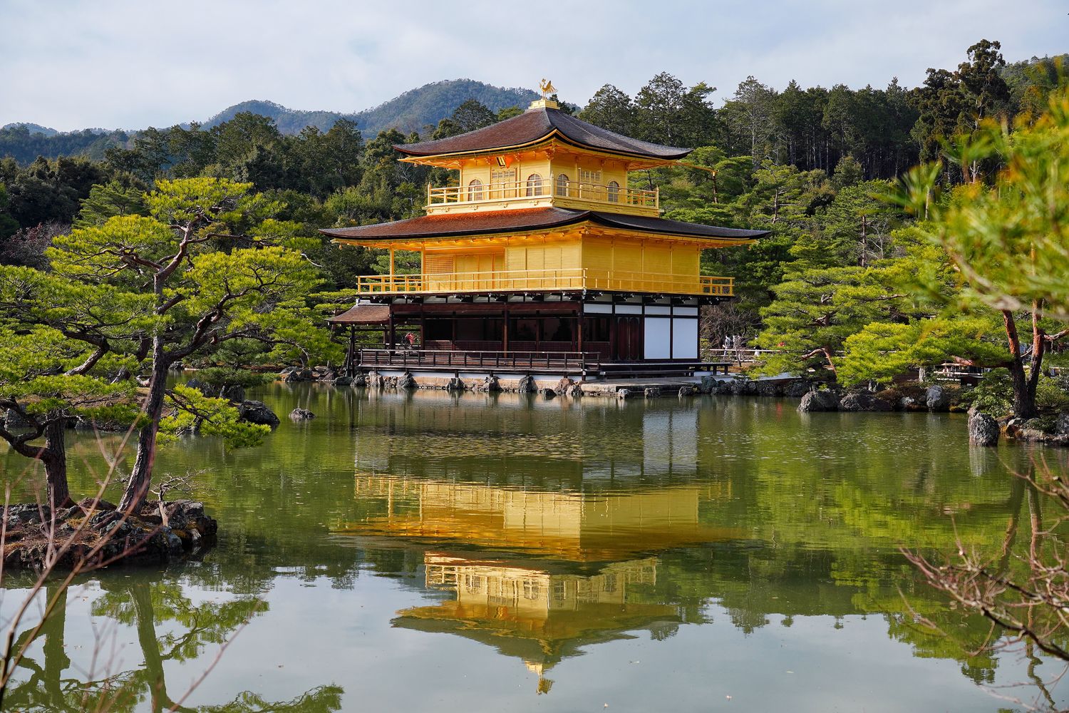 金閣寺｜京都必訪夢幻之境，門票營業時間交通攻略! @混血珊莎的奇幻旅程