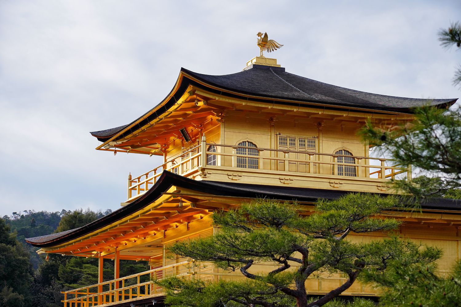 金閣寺｜京都必訪夢幻之境，門票營業時間交通攻略! @混血珊莎的奇幻旅程