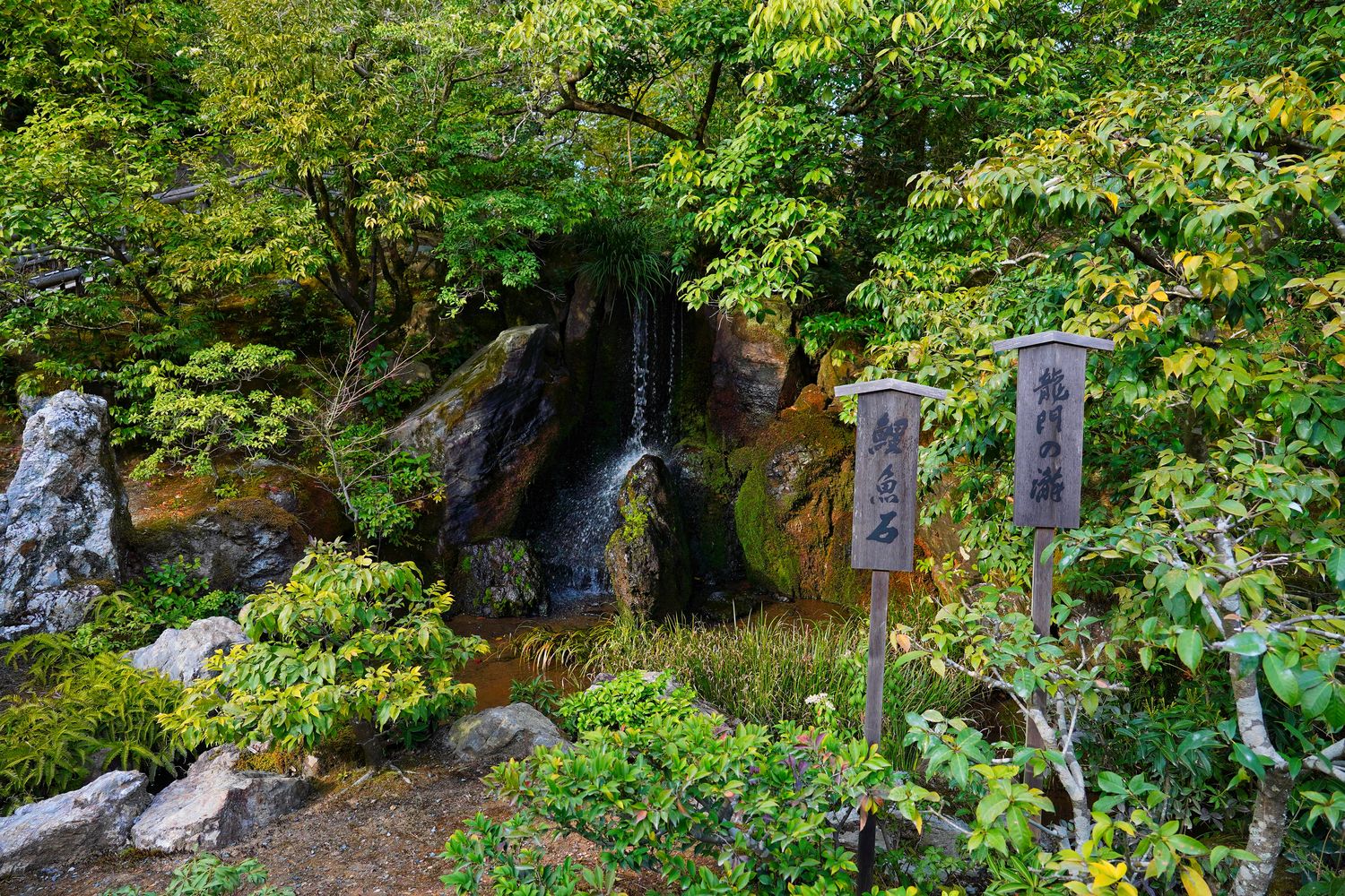 金閣寺｜京都必訪夢幻之境，門票營業時間交通攻略! @混血珊莎的奇幻旅程