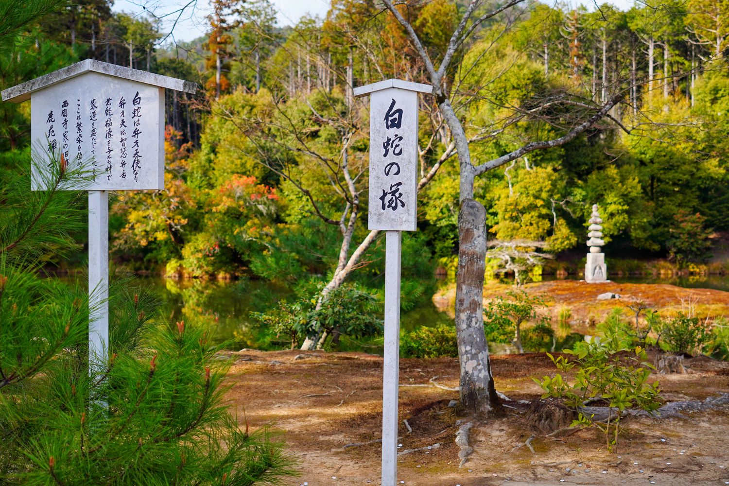 金閣寺｜京都必訪夢幻之境，門票營業時間交通攻略! @混血珊莎的奇幻旅程