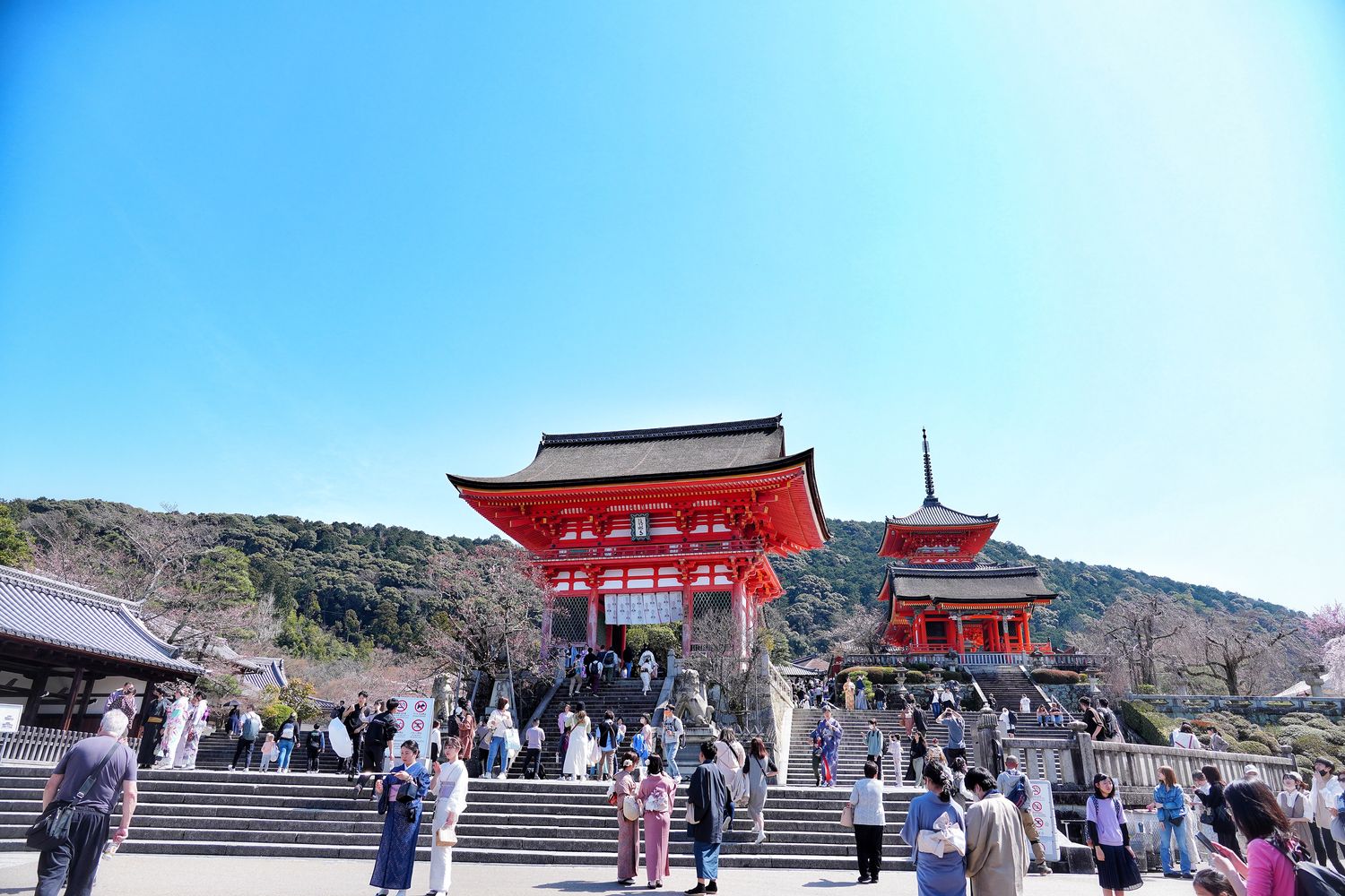 【京都清水寺】必看景點遊玩指南跟交通攻略! @混血珊莎的奇幻旅程