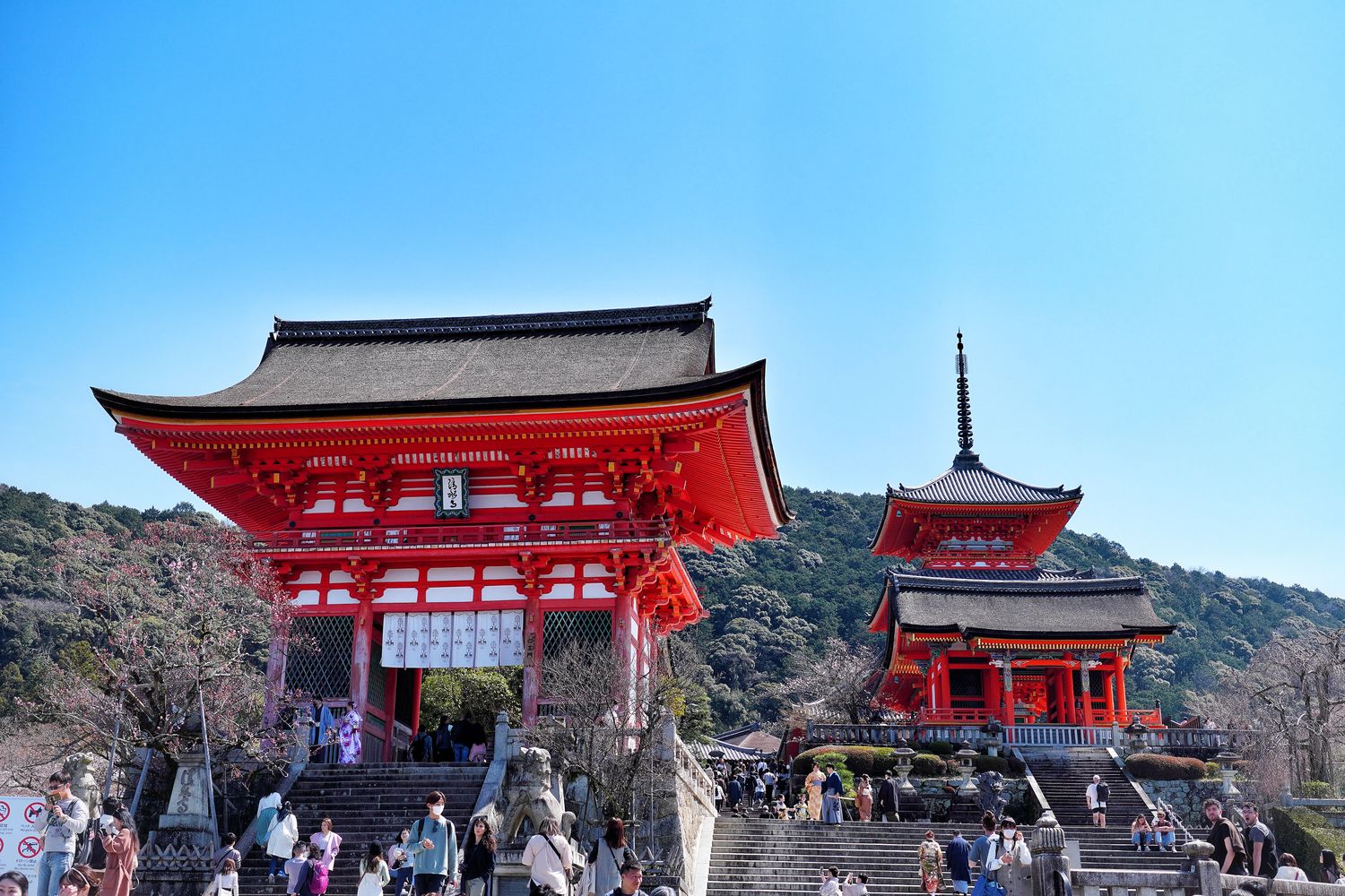 【京都清水寺】必看景點遊玩指南跟交通攻略! @混血珊莎的奇幻旅程