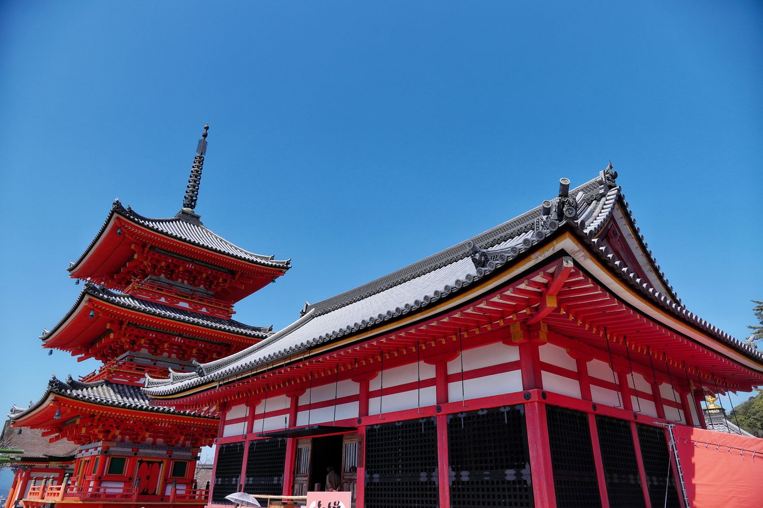 【京都清水寺】必看景點遊玩指南跟交通攻略! @混血珊莎的奇幻旅程