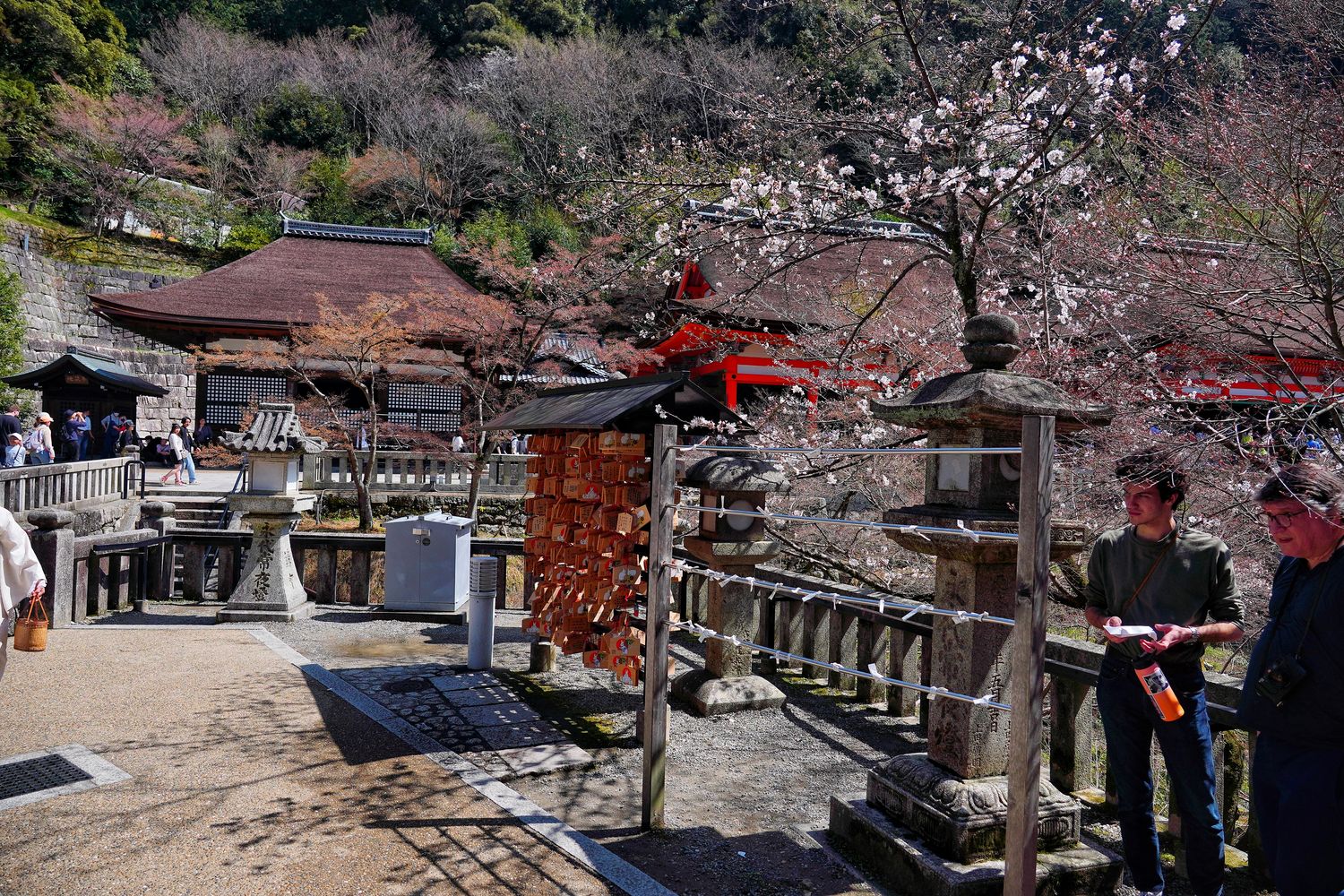 【京都清水寺】必看景點遊玩指南跟交通攻略! @混血珊莎的奇幻旅程