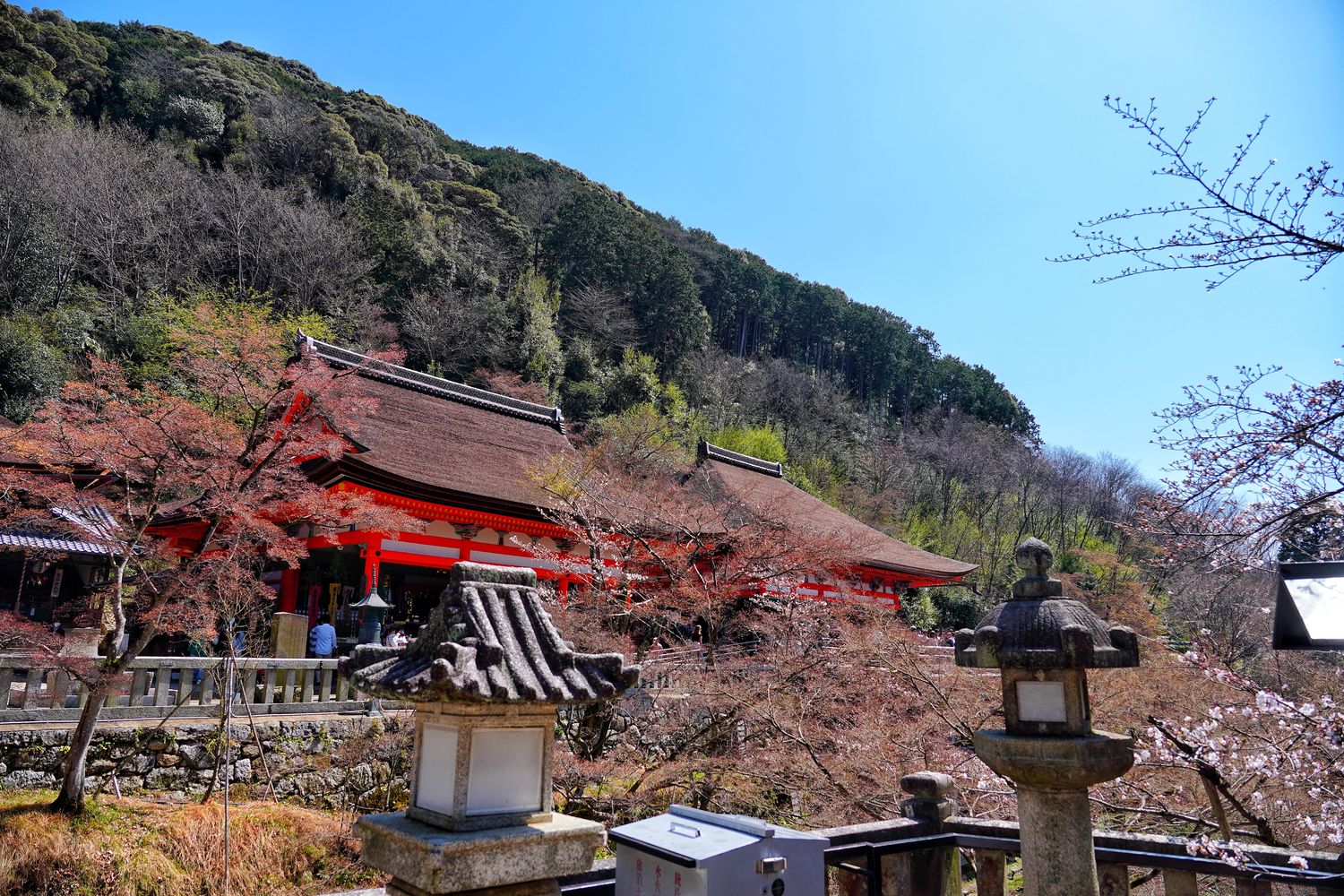 【京都清水寺】必看景點遊玩指南跟交通攻略! @混血珊莎的奇幻旅程