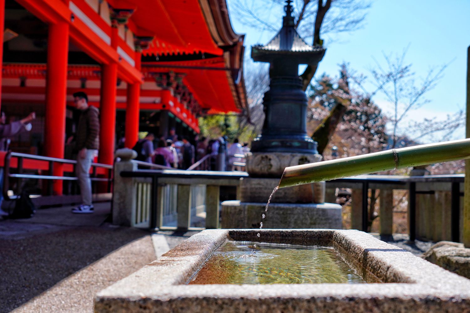 【京都清水寺】必看景點遊玩指南跟交通攻略! @混血珊莎的奇幻旅程