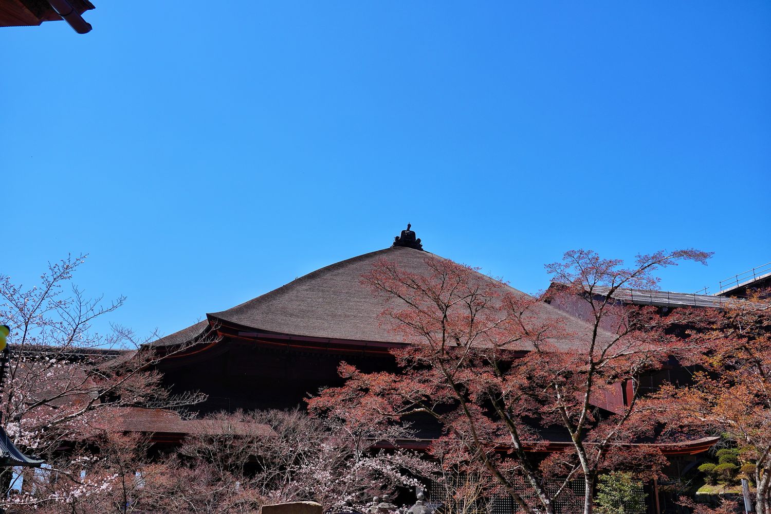 【京都清水寺】必看景點遊玩指南跟交通攻略! @混血珊莎的奇幻旅程