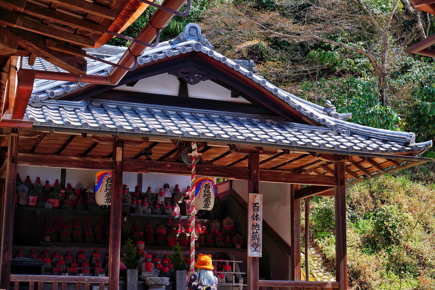 【京都清水寺】必看景點遊玩指南跟交通攻略! @混血珊莎的奇幻旅程