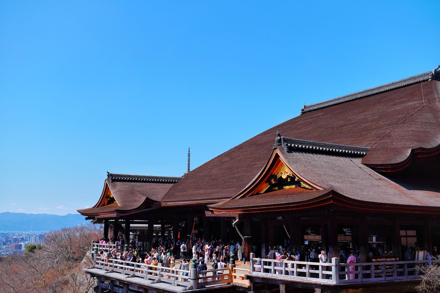 【京都清水寺】必看景點遊玩指南跟交通攻略! @混血珊莎的奇幻旅程
