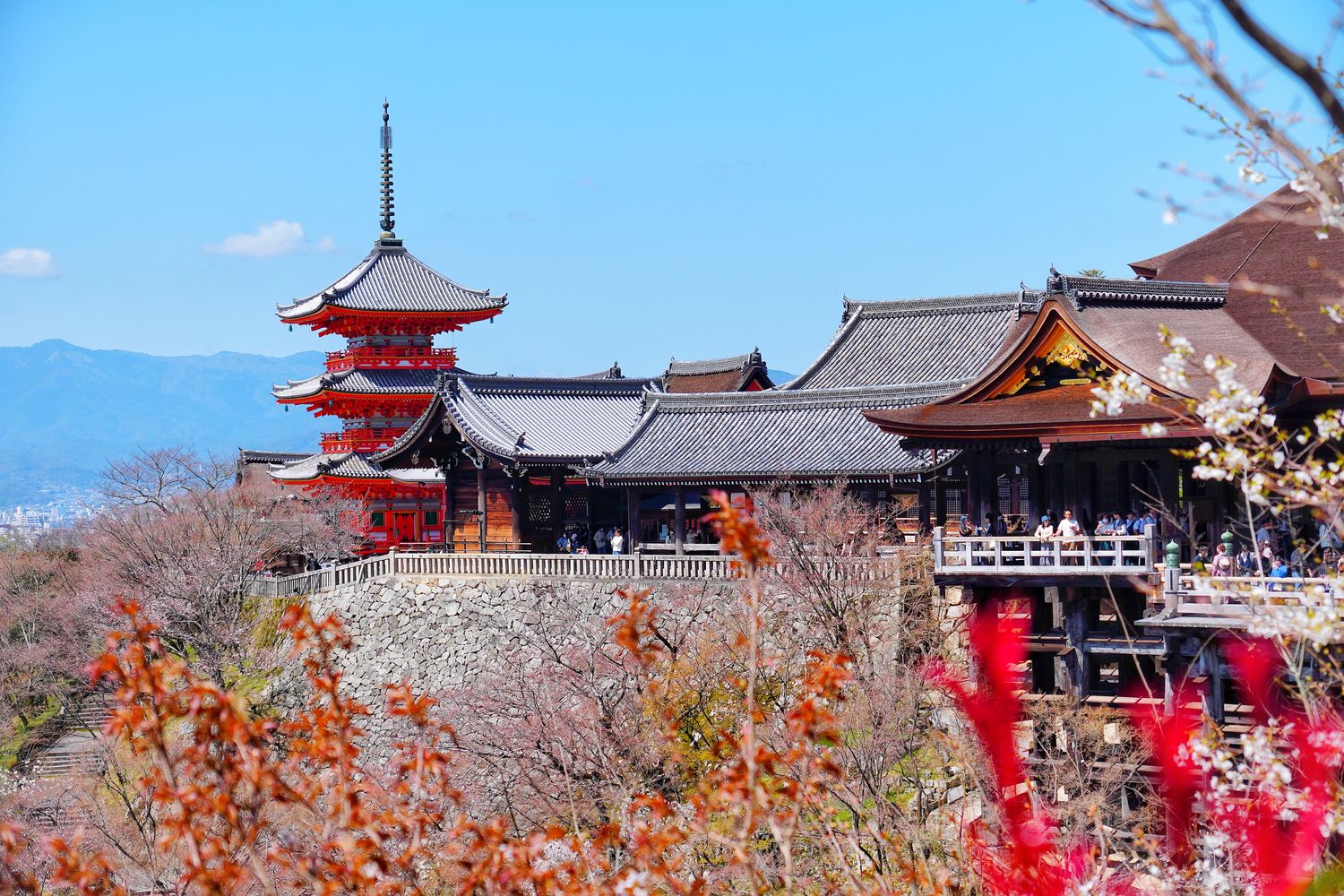 【京都清水寺】必看景點遊玩指南跟交通攻略! @混血珊莎的奇幻旅程