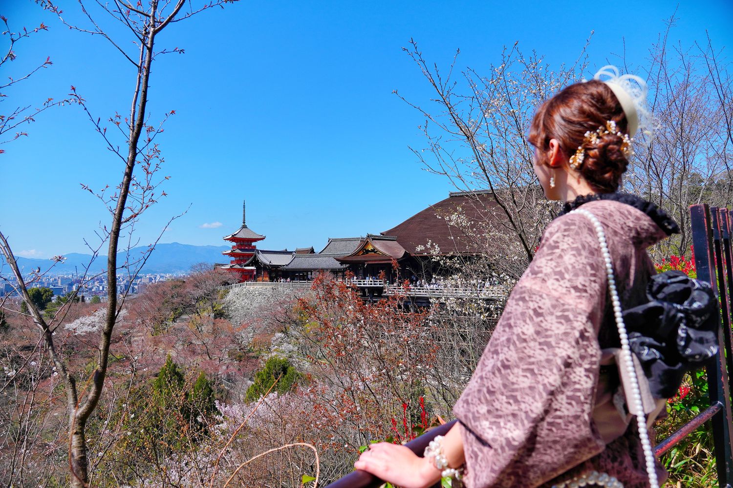 【京都清水寺】必看景點遊玩指南跟交通攻略! @混血珊莎的奇幻旅程