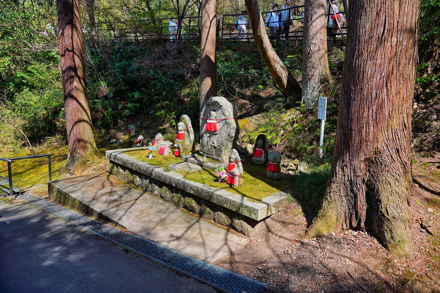 【京都清水寺】必看景點遊玩指南跟交通攻略! @混血珊莎的奇幻旅程
