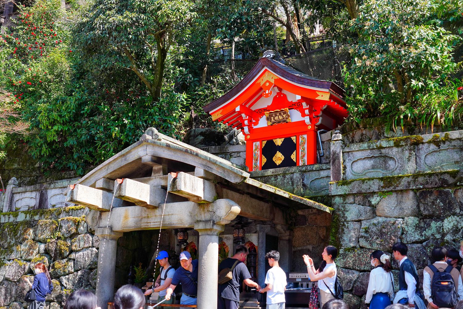 【京都清水寺】必看景點遊玩指南跟交通攻略! @混血珊莎的奇幻旅程