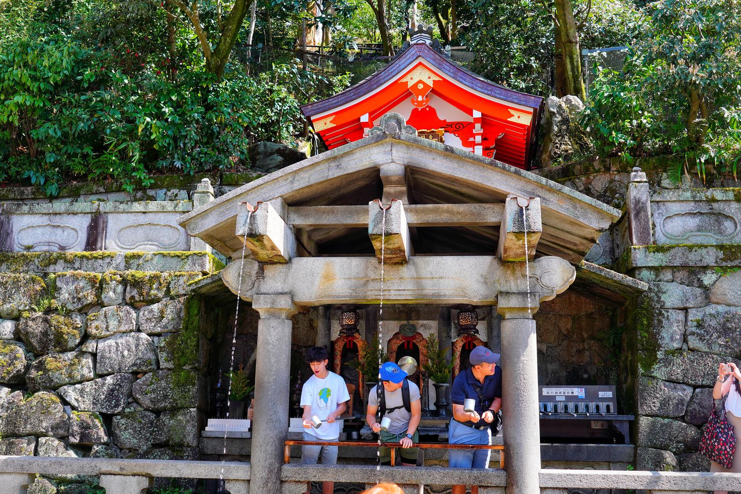 【京都清水寺】必看景點遊玩指南跟交通攻略! @混血珊莎的奇幻旅程