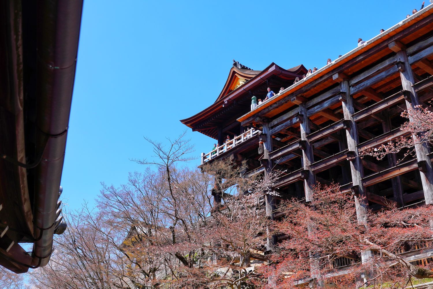 【京都清水寺】必看景點遊玩指南跟交通攻略! @混血珊莎的奇幻旅程