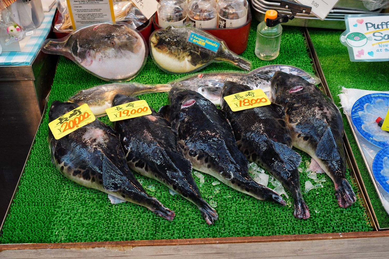 大阪黑門市場｜2025必吃美食、早餐、營業時間交通全攻略! @混血珊莎的奇幻旅程