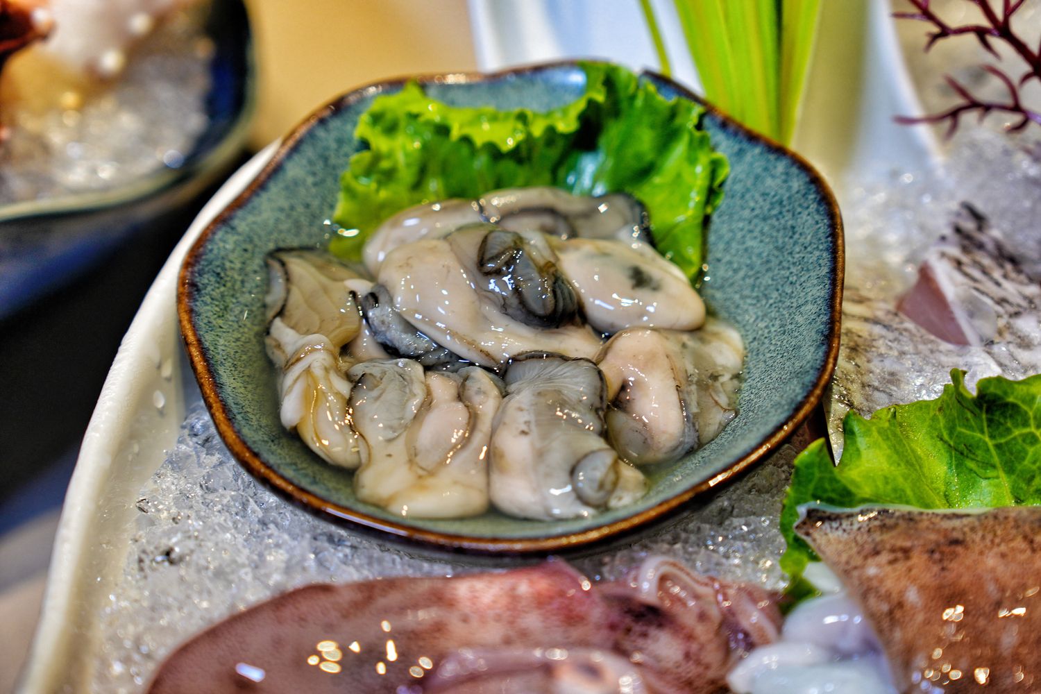 派大鮮精緻鍋物｜新潮火鍋海味現撈活龍蝦螃蟹，萌鍋小熊入浴秀! @混血珊莎的奇幻旅程