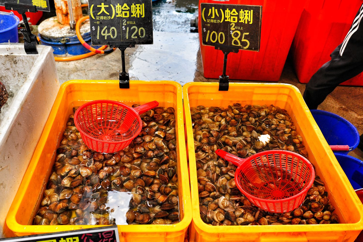 阿布潘水產｜台中百坪海鮮超市，中秋烤肉食材祭出超殺價格! @混血珊莎的奇幻旅程