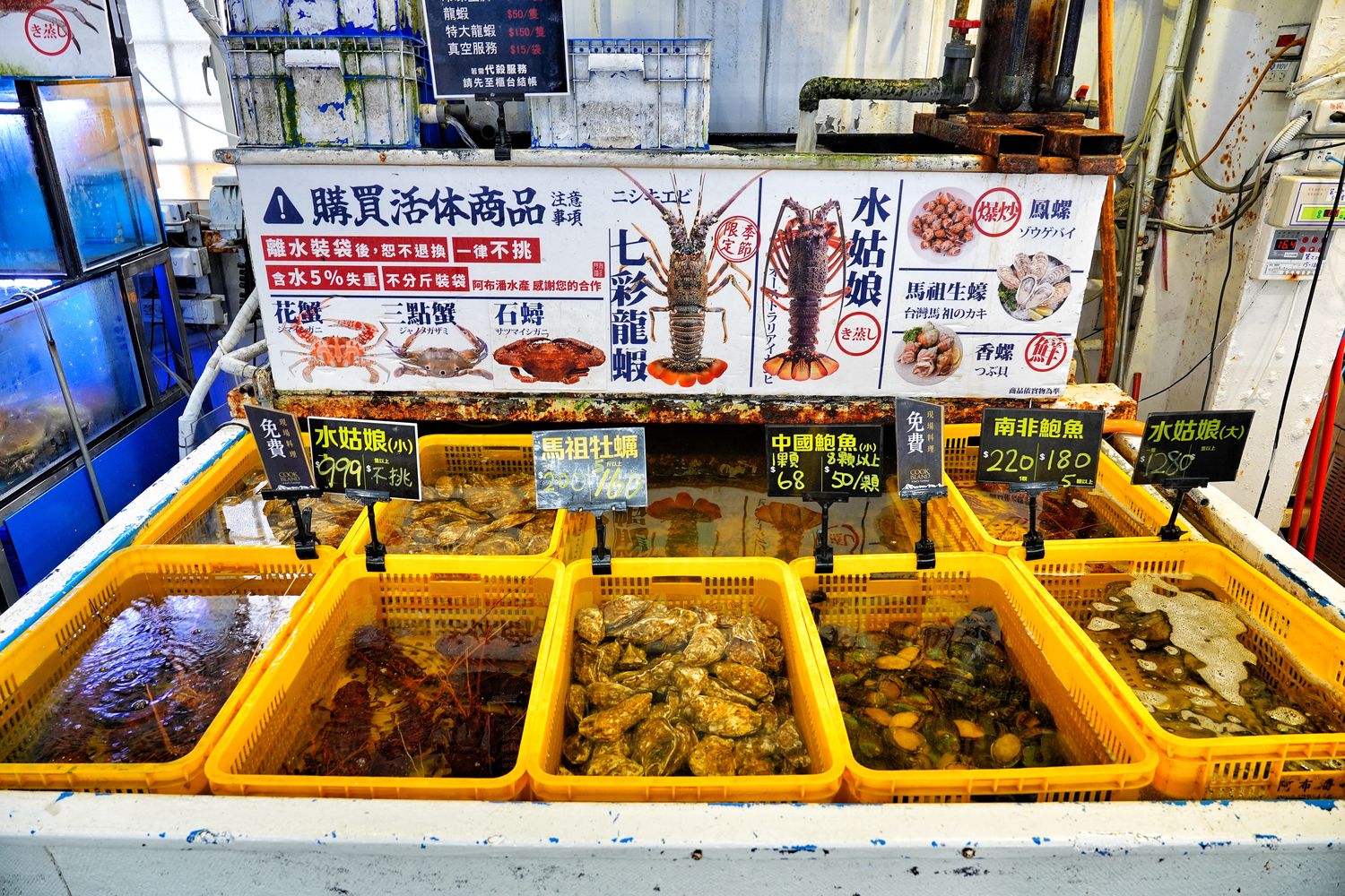 阿布潘水產｜台中百坪海鮮超市，中秋烤肉食材祭出超殺價格! @混血珊莎的奇幻旅程