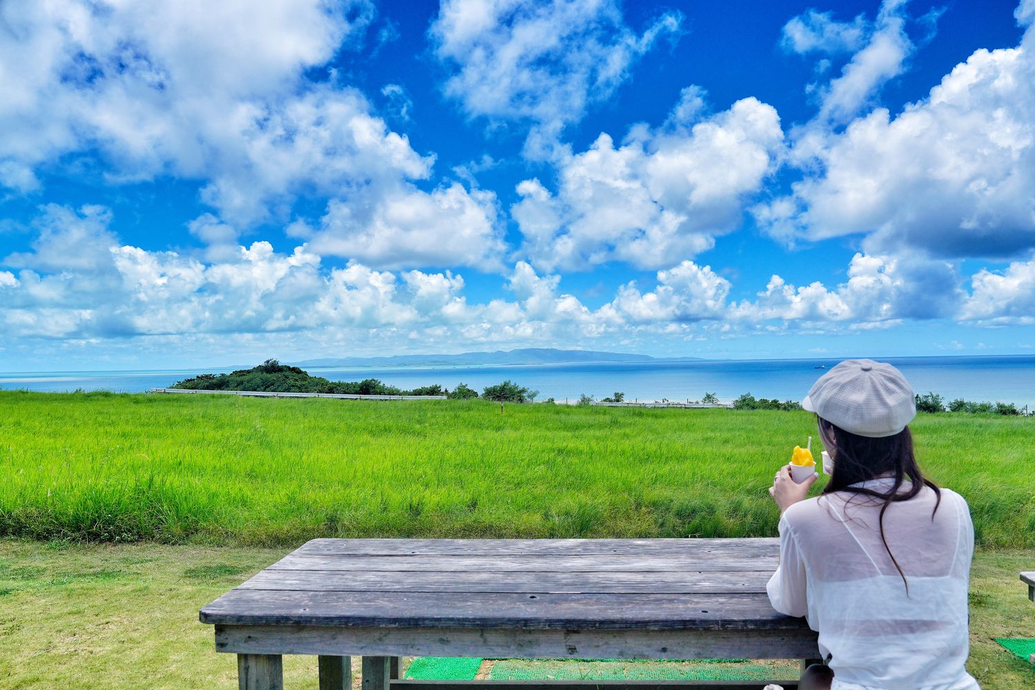 行腳沖繩｜沖繩包車推薦，租車/一日遊/旅遊諮詢首選! @混血珊莎的奇幻旅程