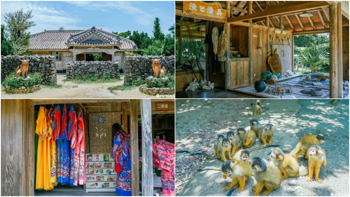 【2025石垣島景點】精選 10 個必去景點，鐘乳洞/購物/美食通通有! @混血珊莎的奇幻旅程