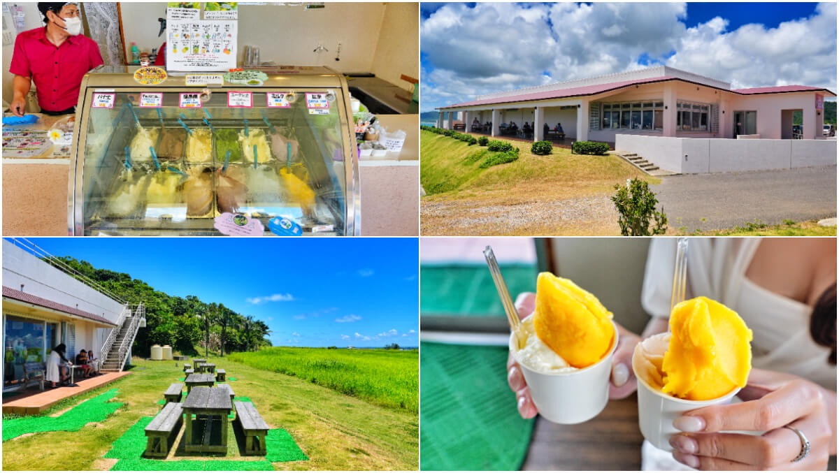 行腳沖繩｜沖繩包車推薦，租車/一日遊/旅遊諮詢首選! @混血珊莎的奇幻旅程