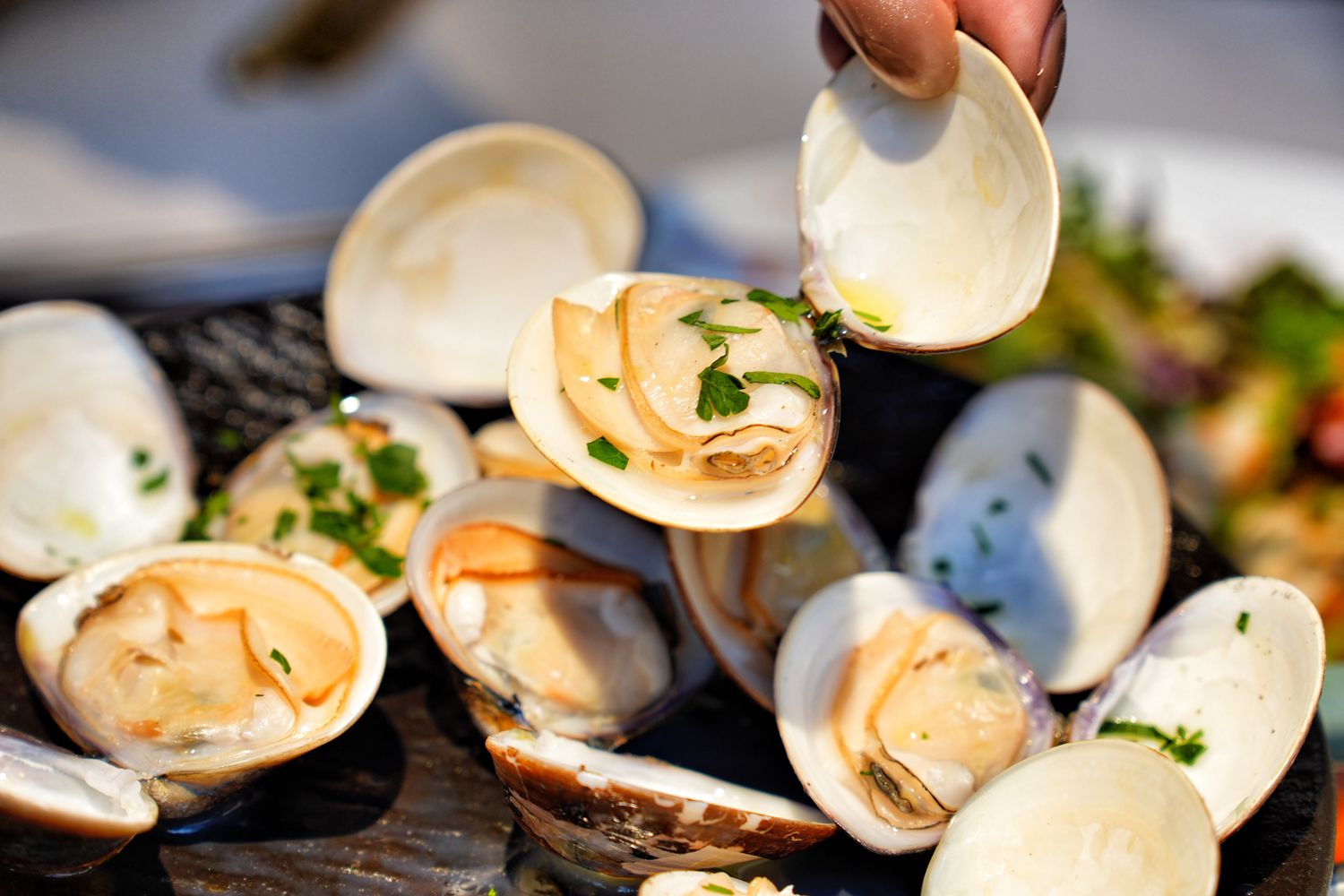 she&#8217;ll oyster bar 敘｜浮誇系台北生蠔塔， 1 顆只要 88 元起! @混血珊莎的奇幻旅程