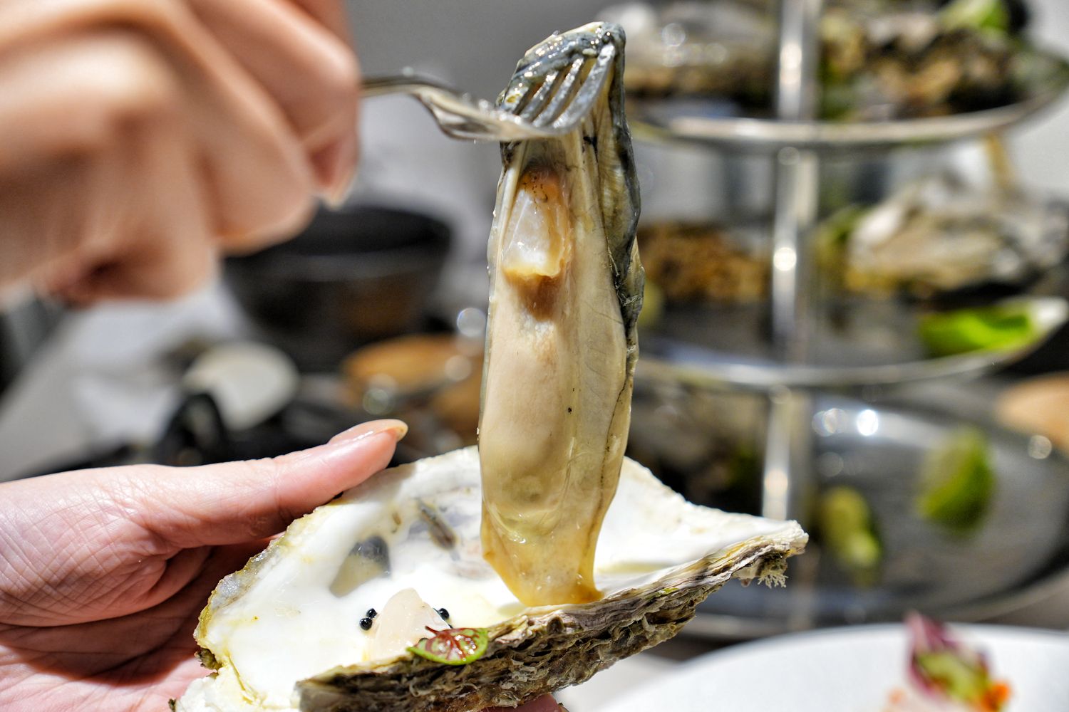 she&#8217;ll oyster bar 敘｜浮誇系台北生蠔塔， 1 顆只要 88 元起! @混血珊莎的奇幻旅程