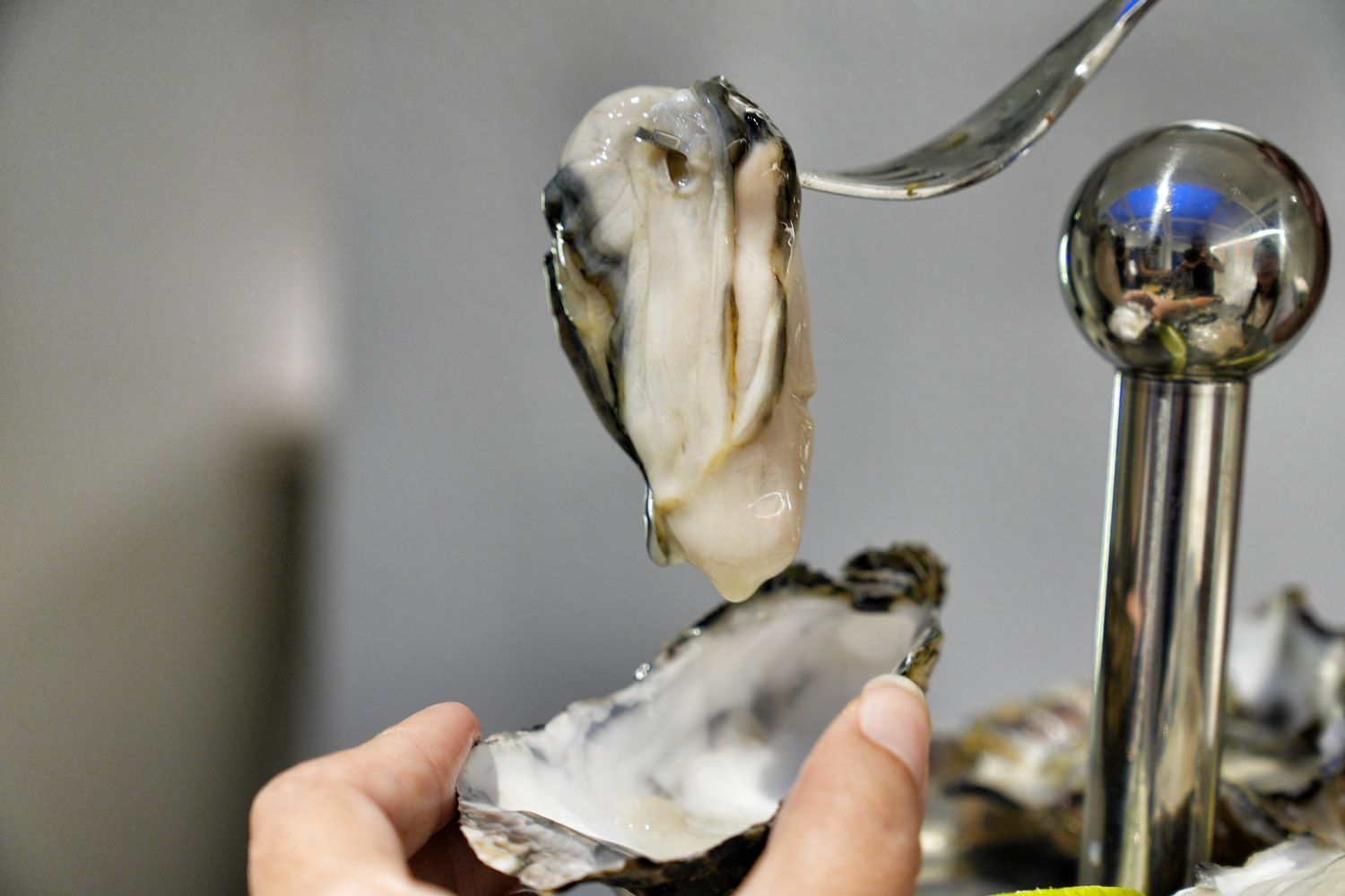 she&#8217;ll oyster bar 敘｜浮誇系台北生蠔塔， 1 顆只要 88 元起! @混血珊莎的奇幻旅程
