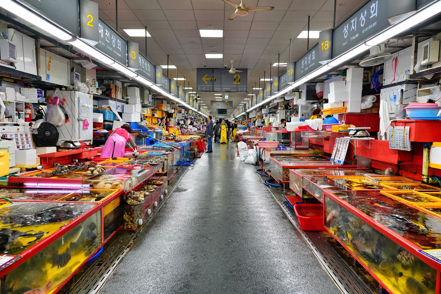 札嘎其市場｜必吃新鮮水產跟松葉蟹，中文店家點餐攻略! @混血珊莎的奇幻旅程