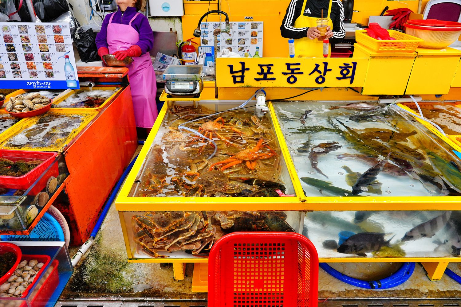 札嘎其市場｜必吃新鮮水產跟松葉蟹，中文店家點餐攻略! @混血珊莎的奇幻旅程