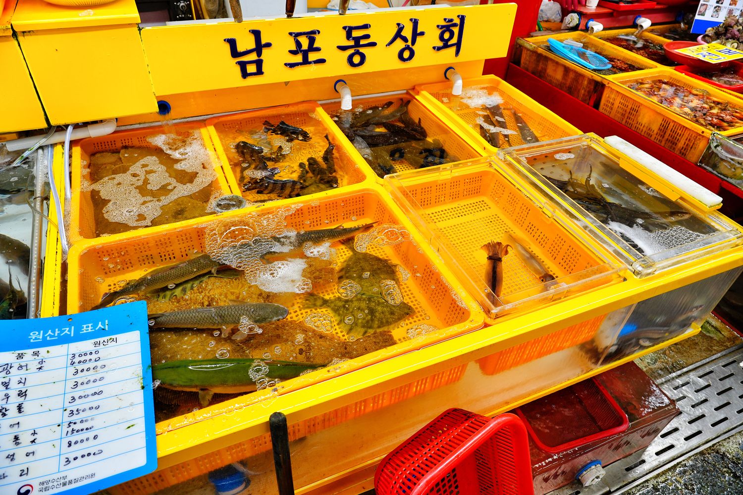 札嘎其市場｜必吃新鮮水產跟松葉蟹，中文店家點餐攻略! @混血珊莎的奇幻旅程
