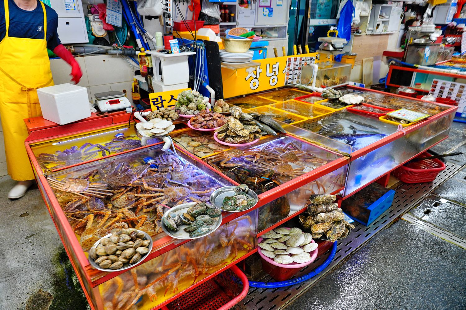 札嘎其市場｜必吃新鮮水產跟松葉蟹，中文店家點餐攻略! @混血珊莎的奇幻旅程