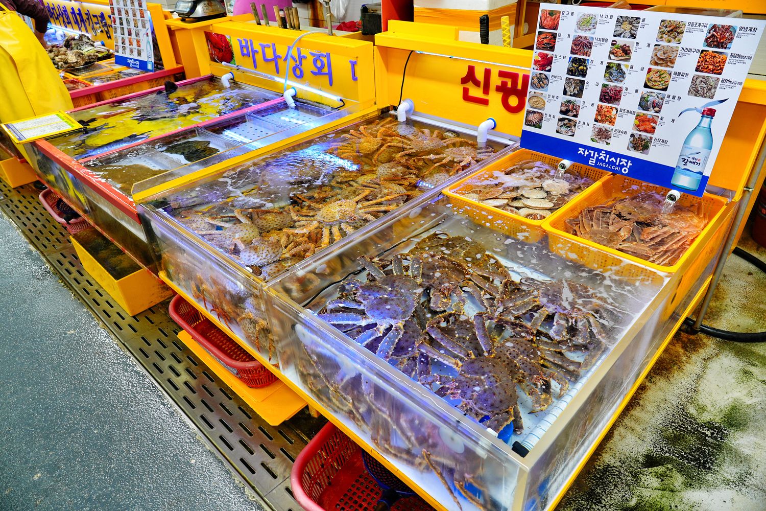 札嘎其市場｜必吃新鮮水產跟松葉蟹，中文店家點餐攻略! @混血珊莎的奇幻旅程
