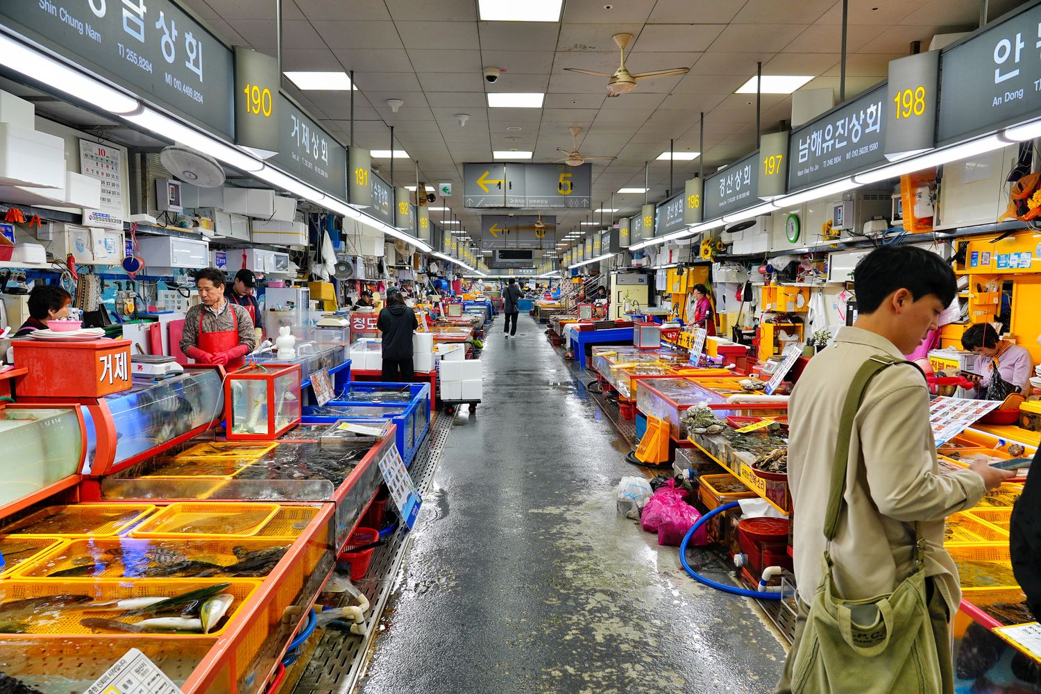 札嘎其市場｜必吃新鮮水產跟松葉蟹，中文店家點餐攻略! @混血珊莎的奇幻旅程