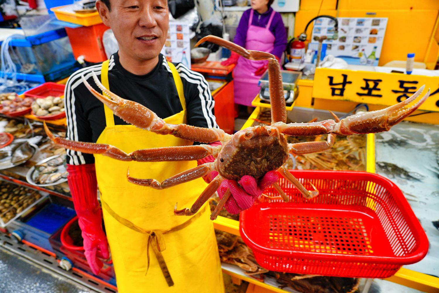 札嘎其市場｜必吃新鮮水產跟松葉蟹，中文店家點餐攻略! @混血珊莎的奇幻旅程