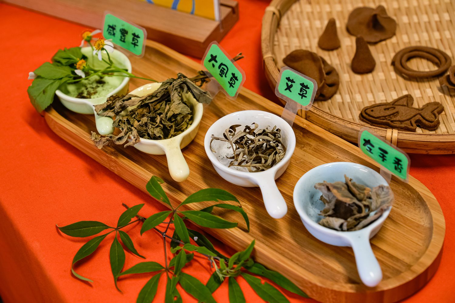 漫活台東嘉蘭部落&#038;大武鄉，森林療癒林下養蜂，南迴山村輕旅行! @混血珊莎的奇幻旅程