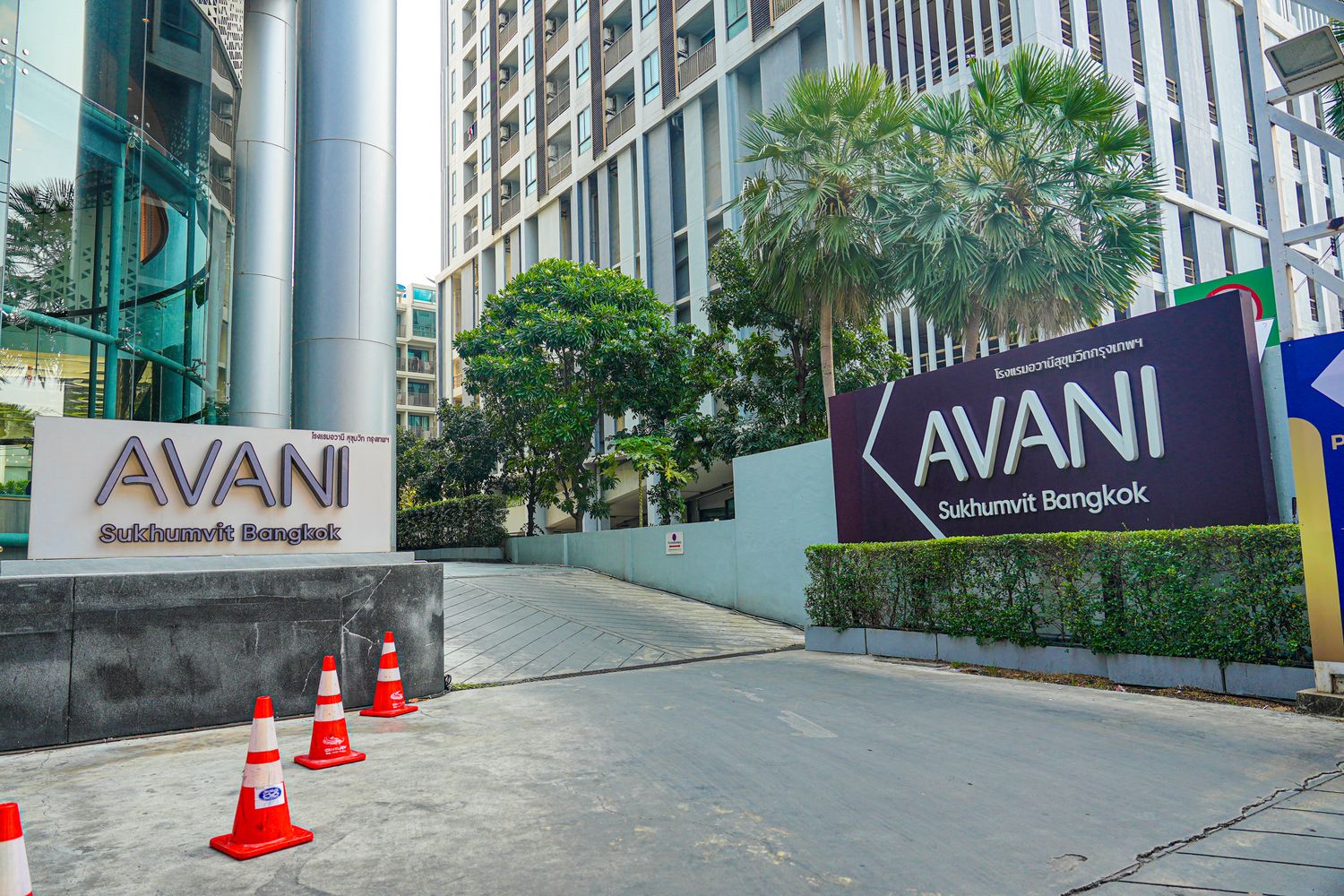 Avani Sukhumvit Bangkok 曼谷素坤逸安凡尼飯店｜On Nut站住宿高空景觀，捷運飯店連通! @混血珊莎的奇幻旅程