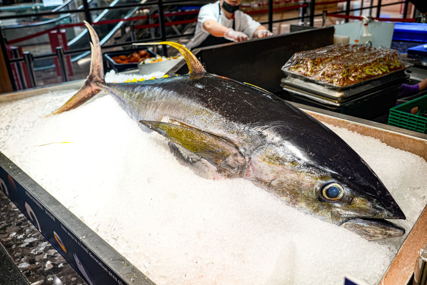 豐FOOD海陸百匯 鮪魚季｜台北自助餐吃到飽，澎湃現流海鮮多國料理任你吃，週五限定鮪魚現切秀! @混血珊莎的奇幻旅程