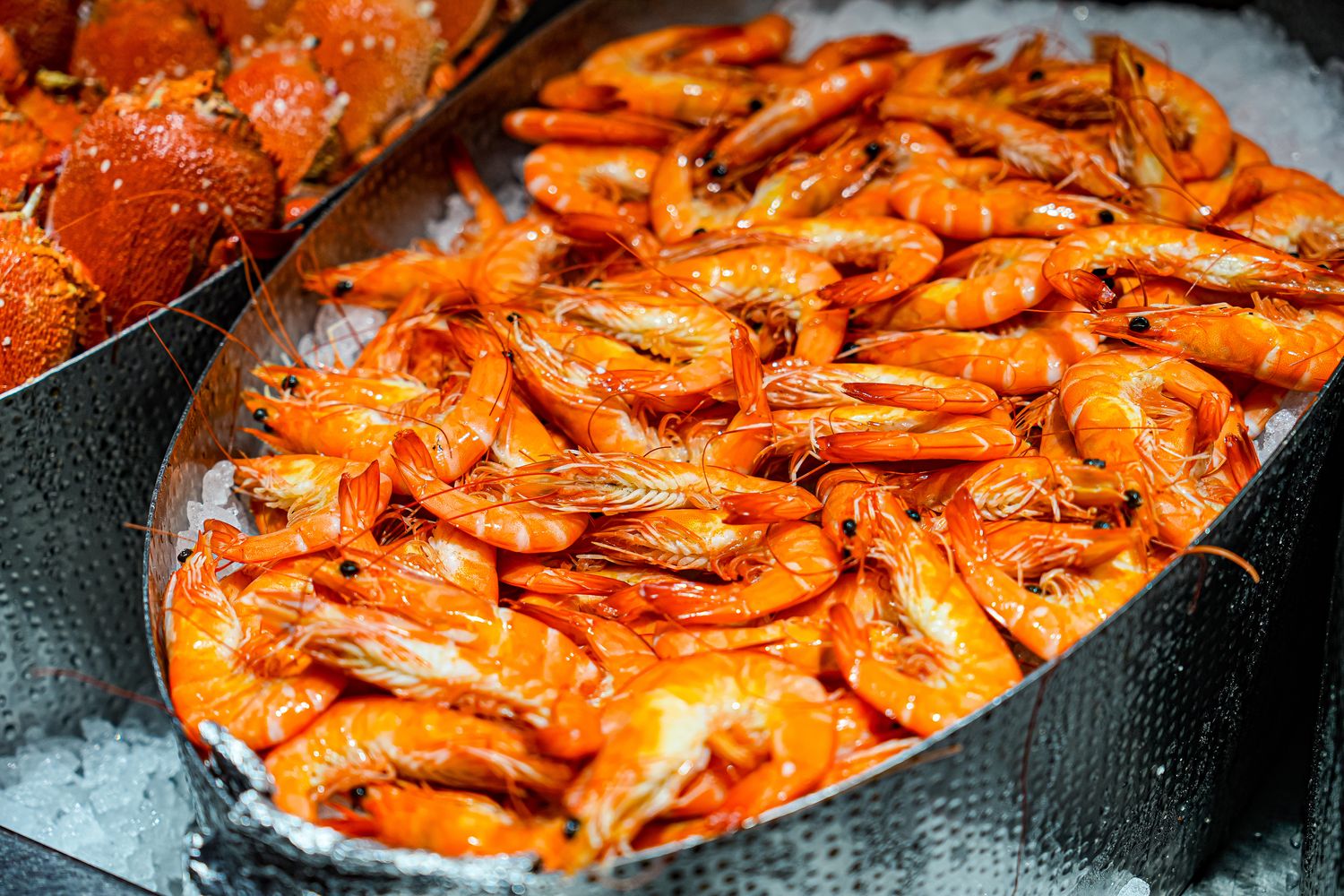 豐FOOD海陸百匯 鮪魚季｜台北自助餐吃到飽，澎湃現流海鮮多國料理任你吃，週五限定鮪魚現切秀! @混血珊莎的奇幻旅程