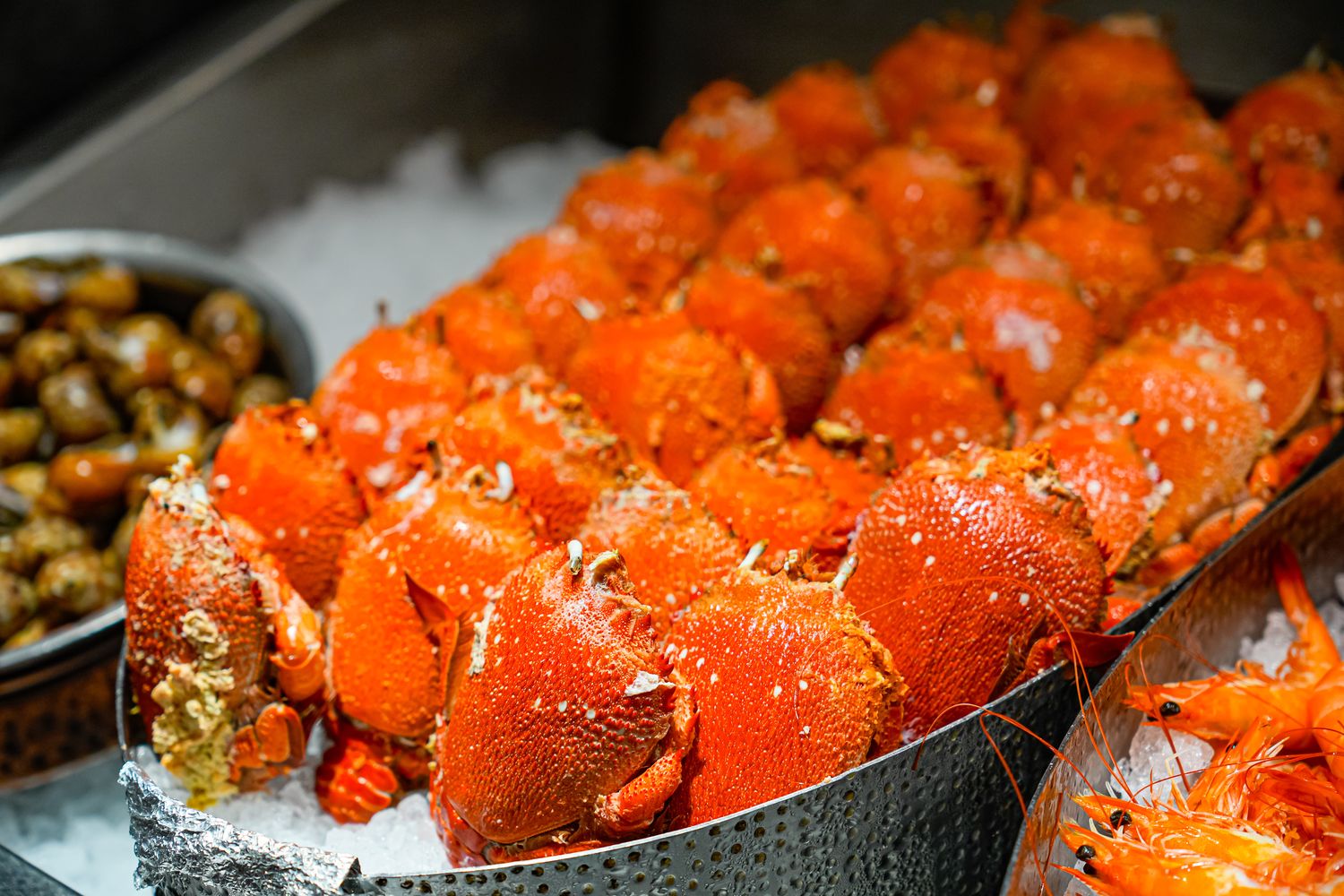 豐FOOD海陸百匯 鮪魚季｜台北自助餐吃到飽，澎湃現流海鮮多國料理任你吃，週五限定鮪魚現切秀! @混血珊莎的奇幻旅程