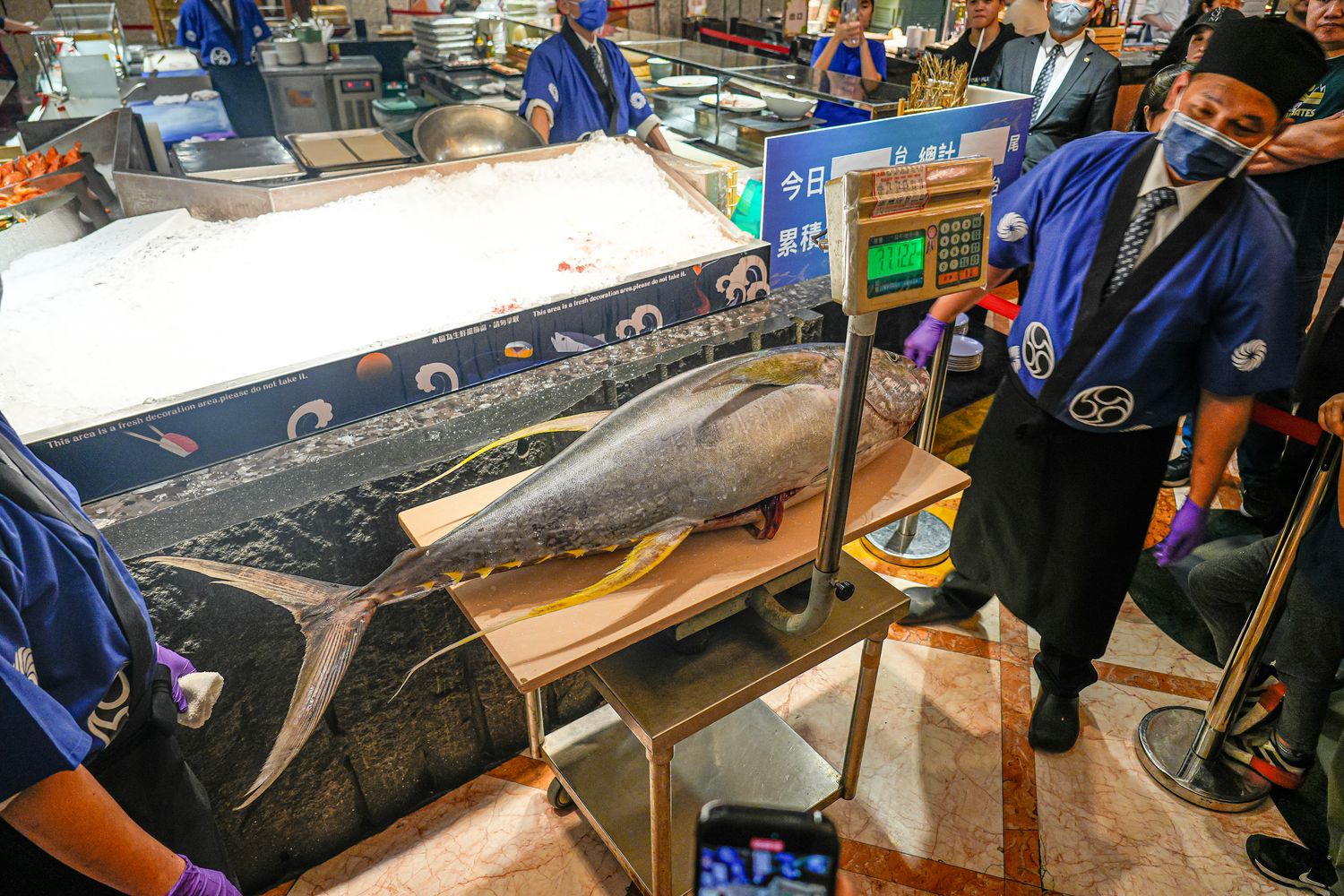 豐FOOD海陸百匯 鮪魚季｜台北自助餐吃到飽，澎湃現流海鮮多國料理任你吃，週五限定鮪魚現切秀! @混血珊莎的奇幻旅程