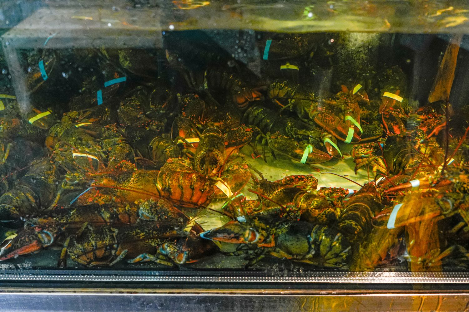 【南京復興站美食】明水然無菜單鐵板燒 慶城店｜網友激推全台最強鐵板燒! @混血珊莎的奇幻旅程