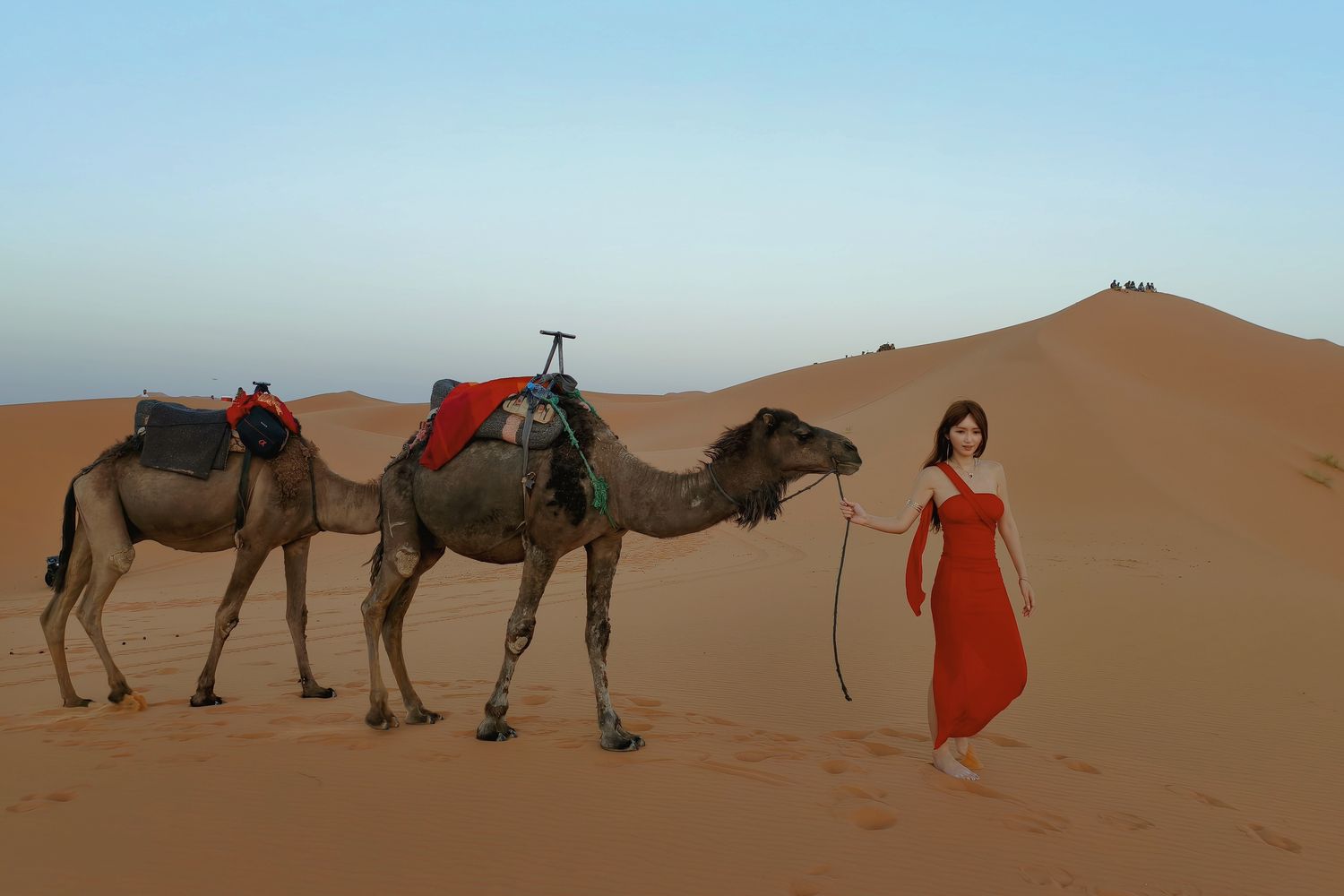 【2025摩洛哥景點推薦】精選 26 個必訪地標與私房景點全攻略! @混血珊莎的奇幻旅程