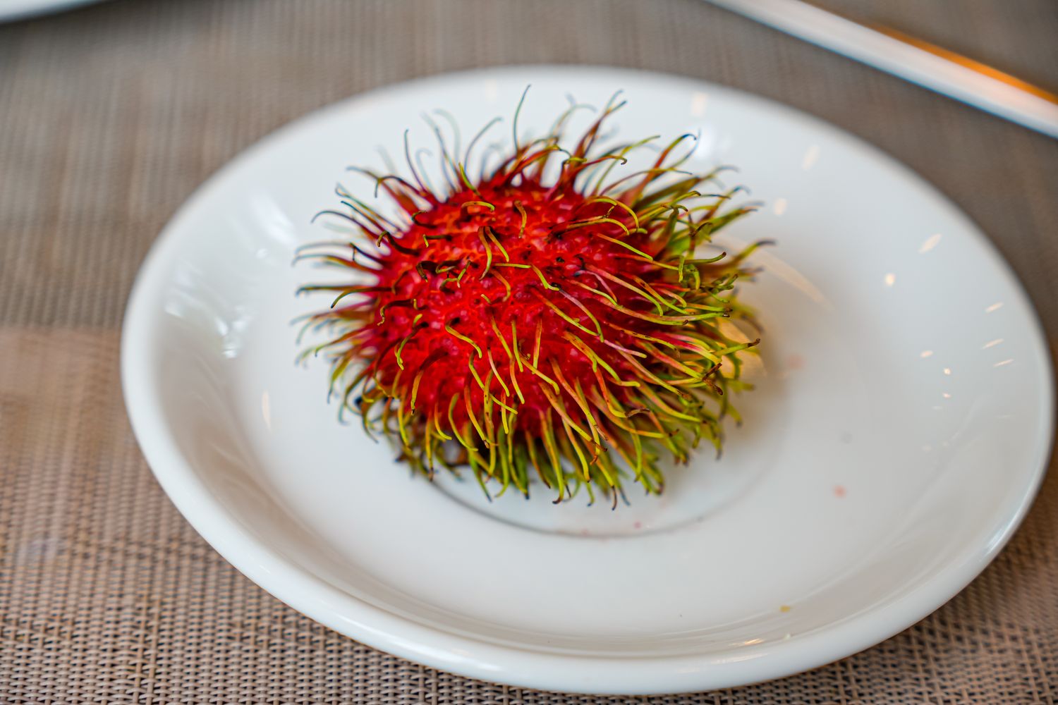 富國天清度假村Thien Thanh Phu Quoc Resort｜五星富國島中部飯店，沙灘海景度假勝地! @混血珊莎的奇幻旅程