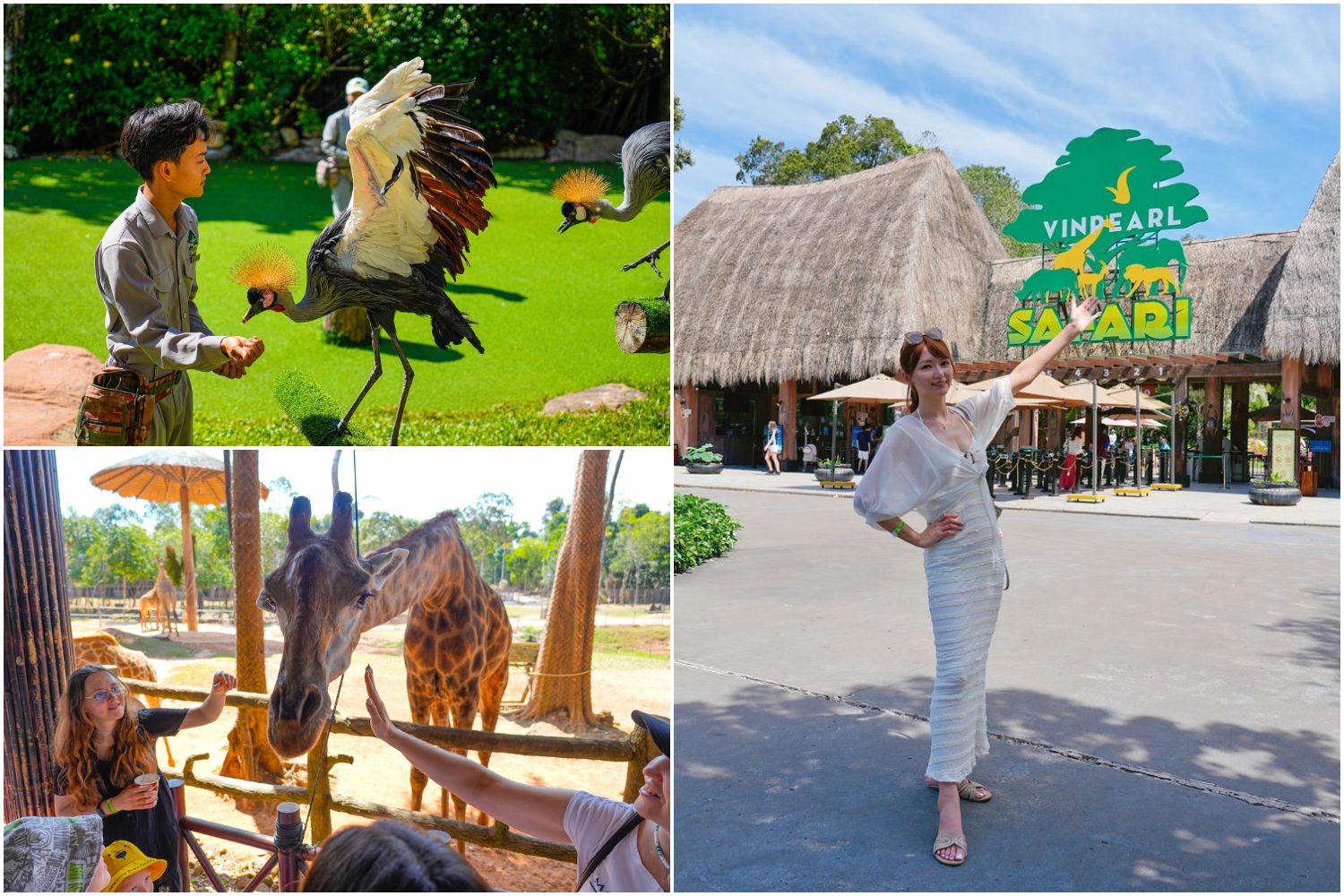 2025 富國島動物園 Vinpearl Safari Phú Quốc｜珍珠野生動物園遊玩攻略! @混血珊莎的奇幻旅程