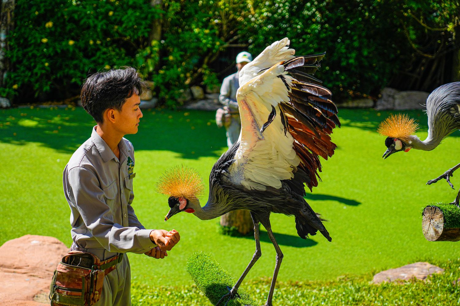 2025 富國島動物園 Vinpearl Safari Phú Quốc｜珍珠野生動物園遊玩攻略! @混血珊莎的奇幻旅程