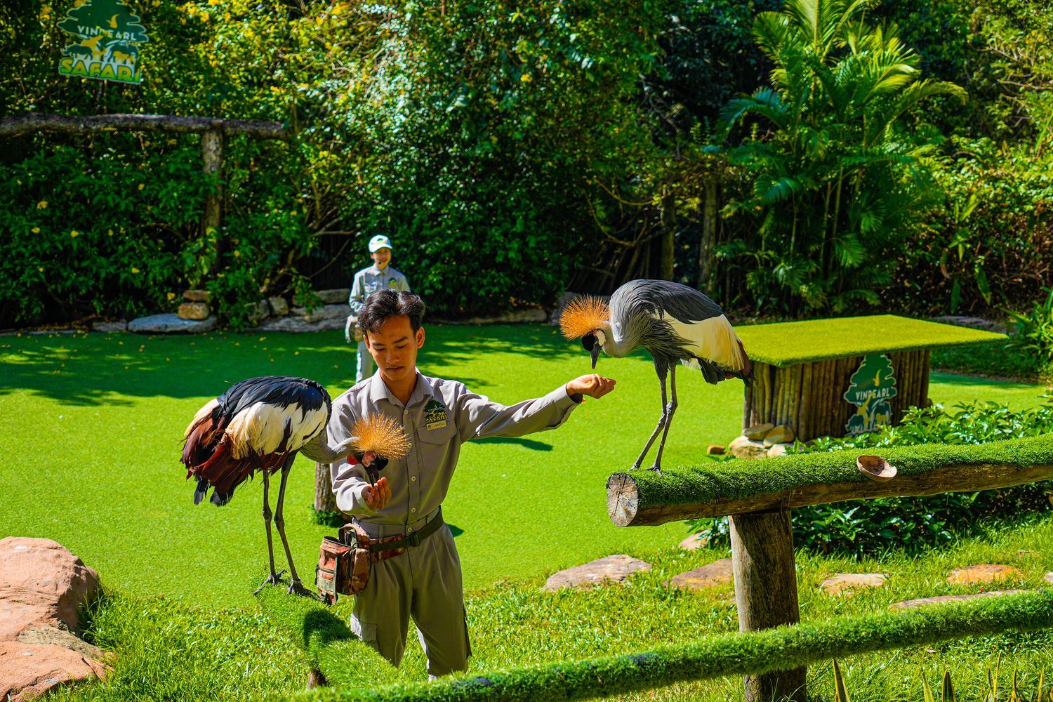 2025 富國島動物園 Vinpearl Safari Phú Quốc｜珍珠野生動物園遊玩攻略! @混血珊莎的奇幻旅程
