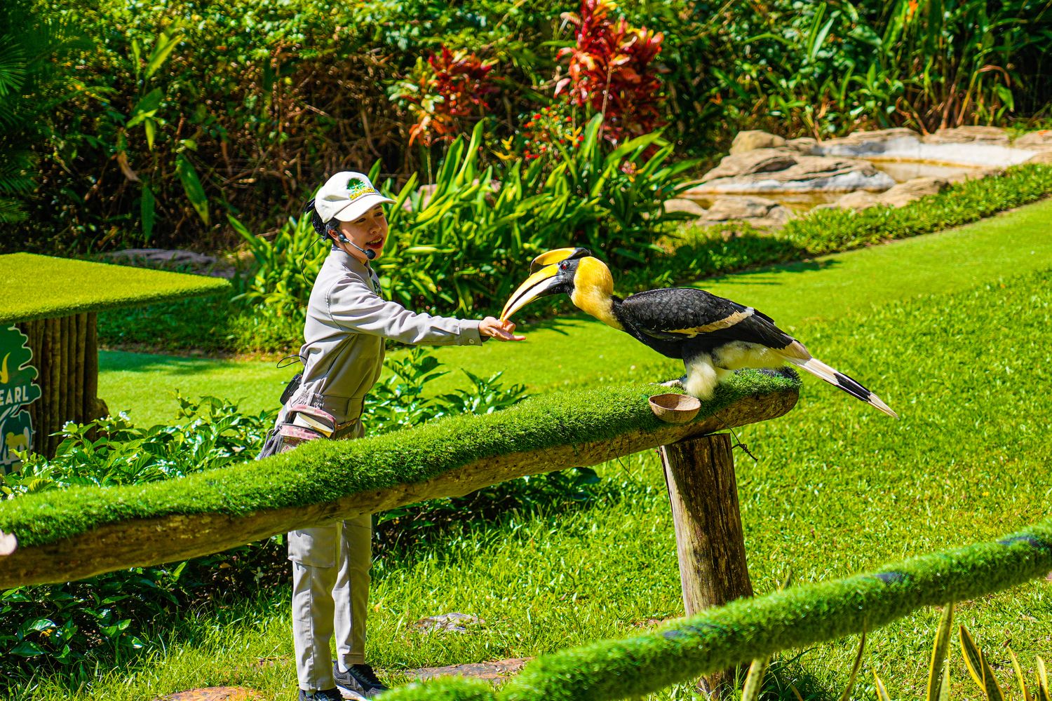 2025 富國島動物園 Vinpearl Safari Phú Quốc｜珍珠野生動物園遊玩攻略! @混血珊莎的奇幻旅程