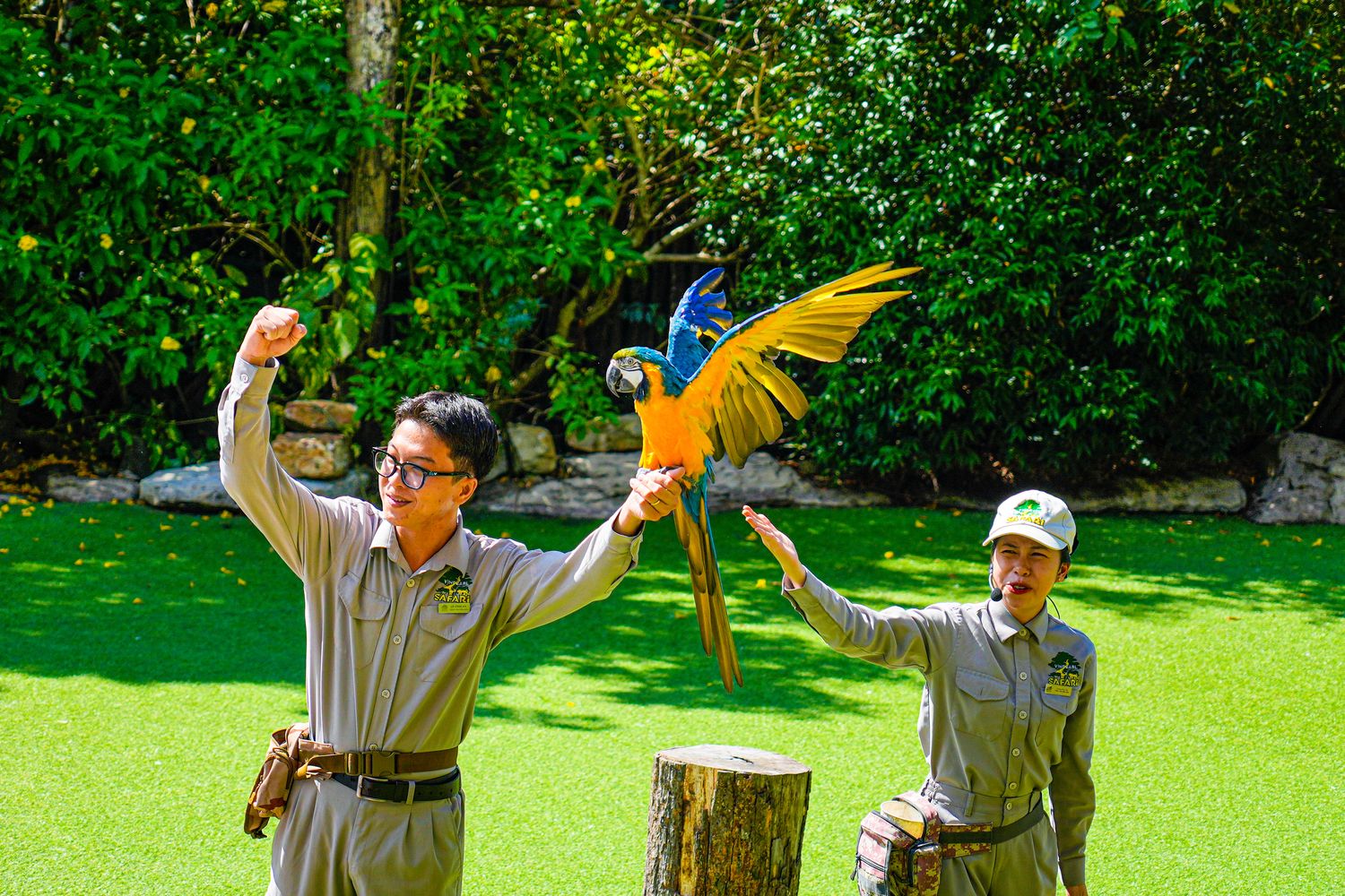 2025 富國島動物園 Vinpearl Safari Phú Quốc｜珍珠野生動物園遊玩攻略! @混血珊莎的奇幻旅程